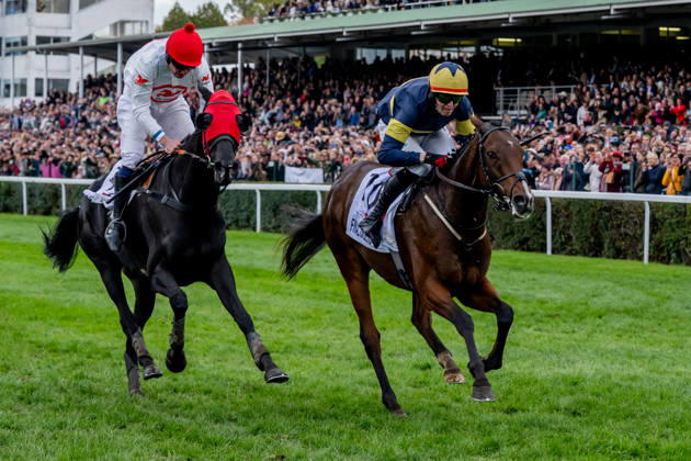 The 136th Grand Pardubice Steeplechase (6,900m), in Pardubice, Czech Republic, on October 11, 2026. From left: Jan Faltejsek on Godfrey and Keith Michael Donoghue on Final Orders. (CTKxPhoto DavidxTanecek) CTKPhotoP2026101104686 CTKPhotoP2026101104686