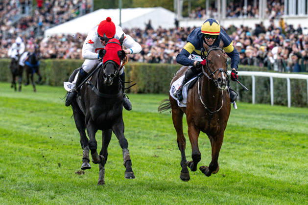The 136th Grand Pardubice Steeplechase (6,900m), in Pardubice, Czech Republic, on October 11, 2026. From left: Jan Faltejsek on Godfrey and Keith Michael Donoghue on Final Orders. (CTKxPhoto DavidxTanecek) CTKPhotoP2026101105128 CTKPhotoP2026101105128