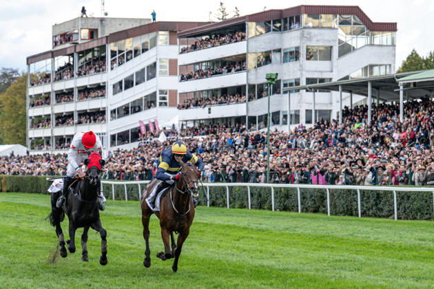 The 136th Grand Pardubice Steeplechase (6,900m), in Pardubice, Czech Republic, on October 11, 2026. From left: Jan Faltejsek on Godfrey and Keith Michael Donoghue on Final Orders. (CTKxPhoto DavidxTanecek) CTKPhotoP2026101105153 CTKPhotoP2026101105153
