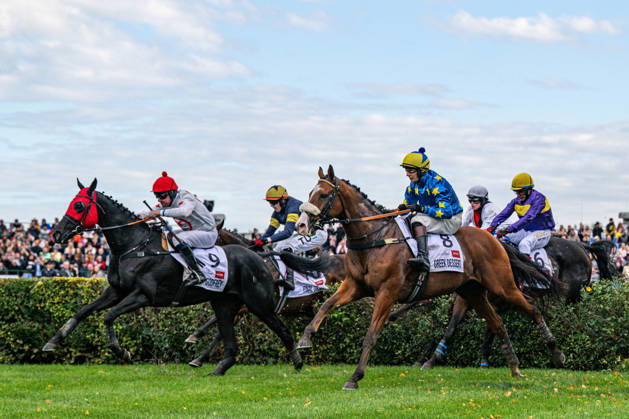 The 136th Grand Pardubice Steeplechase (6,900m), in Pardubice, Czech Republic, on October 11, 2026. From left: Jan Faltejsek on Godfrey, Keith Michael Donoghue on Final Orders, James Best on Greek Dessert, Lenka Neprasova on Sacamiro, and Marcel Novak on Dumon Roclay. (CTKxPhoto DavidxTanecek) CTKPhotoP2026101105161 CTKPhotoP2026101105161