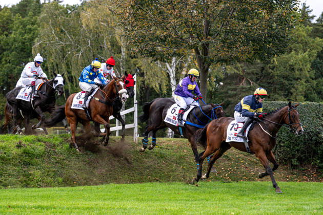 The 136th Grand Pardubice Steeplechase (6,900m), in Pardubice, Czech Republic, on October 11, 2026. From left: Jan Faltejsek on Godfrey, James Best on Greek Dessert, Jan Odlozil on Angkor Wat, Marcel Novak on Dumon Roclay, and Keith Michael Donoghue on Final Orders. (CTKxPhoto DavidxTanecek) CTKPhotoP2026101105165 CTKPhotoP2026101105165