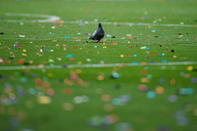 2. Bundesliga: FC St. Pauli vs. Karlsruher SC, October 11, 2026—Pigeon on the field, confetti, soccer, 2. Bundesliga, Matchday 7: FC St. Pauli vs. Karlsruher SC on October 11, 2026, at Millerntor Stadium, Hamburg. DFL regulations prohibit any use of photographs as image sequences and or quasi-video. Copyright: xBEAUTIFULxSPORTS Tonhäuserx