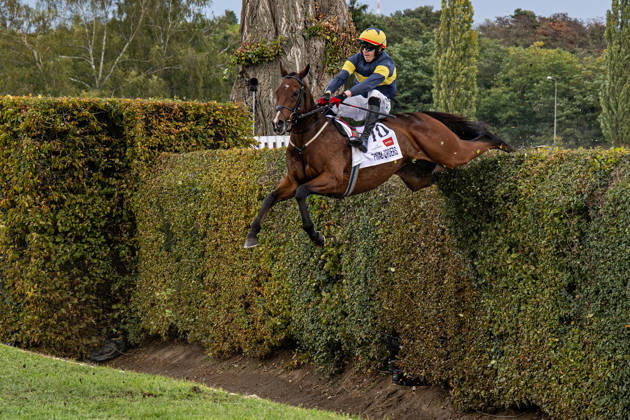 The 136th Grand Pardubice Steeplechase (6,900m), in Pardubice, Czech Republic, on October 11, 2026. Keith Michael Donoghue, riding Final Orders, clears the Taxis ditch. (CTKxPhoto DavidxTanecek) CTKPhotoP2026101105242 CTKPhotoP2026101105242