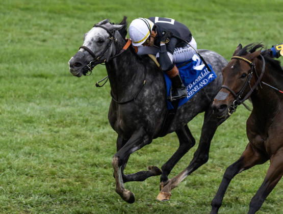 HORSE RACING 2026: Franklin Stakes Day Keeneland OCT 11 October 11, 2026, Lexington, Ky, USA: Time to Dazzle (3) ridden by Irad Ortiz Jr wins the Franklin Stakes Day on October 11, 2026. Candice Chavez Eclipse Sportswire CSM(Credit Image: Â {Serial Cal Media) Lexington Ky USA EDITORIAL USE ONLY Copyright: xx ZUMA-20261011_faf_cs17_004.jpg {Serialx csmphotothree533545