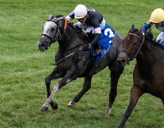 HORSE RACING 2026: Franklin Stakes Day Keeneland OCT 11 October 11, 2026, Lexington, Ky, USA: Time to Dazzle (3) ridden by Irad Ortiz Jr wins the Franklin Stakes Day on October 11, 2026. Candice Chavez Eclipse Sportswire CSM(Credit Image: Â {Serial Cal Media) Lexington Ky USA EDITORIAL USE ONLY Copyright: xx ZUMA-20261011_faf_cs17_002.jpg {Serialx csmphotothree533547