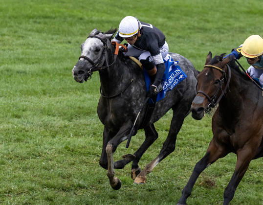 HORSE RACING 2026: Franklin Stakes Day Keeneland OCT 11 October 11, 2026, Lexington, Ky, USA: Time to Dazzle (3) ridden by Irad Ortiz Jr wins the Franklin Stakes Day on October 11, 2026. Candice Chavez Eclipse Sportswire CSM(Credit Image: Â {Serial Cal Media) Lexington Ky USA EDITORIAL USE ONLY Copyright: xx ZUMA-20261011_faf_cs17_001.jpg {Serialx csmphotothree533548