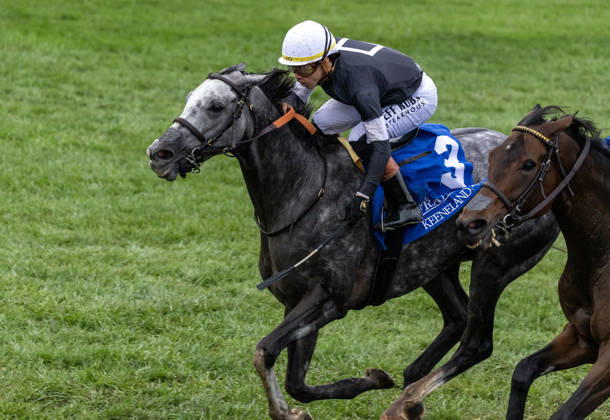 HORSE RACING 2026: Franklin Stakes Day Keeneland OCT 11 October 11, 2026, Lexington, Ky, USA: Time to Dazzle (3) ridden by Irad Ortiz Jr wins the Franklin Stakes Day on October 11, 2026. Candice Chavez Eclipse Sportswire CSM(Credit Image: Â {Serial Cal Media) Lexington Ky USA EDITORIAL USE ONLY Copyright: xx ZUMA-20261011_faf_cs17_012.jpg {Serialx csmphotothree533622