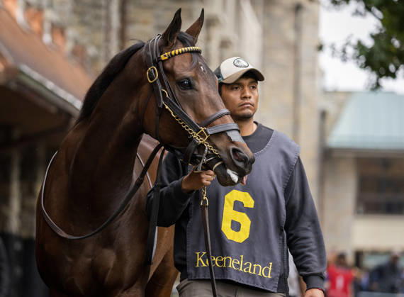 HORSE RACING 2026: Franklin Stakes Day Keeneland OCT 11 October 11, 2026, Lexington, Ky, USA: Kehoe Beach (6) in the paddock before the Franklin Stakes on Franklin Stakes Day on October 11, 2026. Candice Chavez Eclipse Sportswire CSM(Credit Image: Â {Serial Cal Media) Lexington Ky USA EDITORIAL USE ONLY Copyright: xx ZUMA-20261011_faf_cs17_033.jpg {Serialx csmphotothree533794