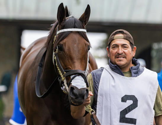 HORSE RACING 2026: Franklin Stakes Day Keeneland OCT 11 October 11, 2026, Lexington, Ky, USA: Itzel (2) in the paddock before the Franklin Stakes on Franklin Stakes Day on October 11, 2026. Candice Chavez Eclipse Sportswire CSM(Credit Image: Â {Serial Cal Media) Lexington Ky USA EDITORIAL USE ONLY Copyright: xx ZUMA-20261011_faf_cs17_029.jpg {Serialx csmphotothree533798
