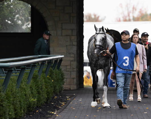 HORSE RACING 2026: Franklin Stakes Day Keeneland OCT 11 October 11, 2026, Lexington, Ky, USA: Time to Dazzle (3) in the paddock before winning the Franklin Stakes on Franklin Stakes Day on October 11, 2026. Candice Chavez Eclipse Sportswire CSM(Credit Image: Â {Serial Cal Media) Lexington Ky USA EDITORIAL USE ONLY Copyright: xx ZUMA-20261011_faf_cs17_035.jpg {Serialx csmphotothree533802