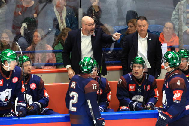 October 14, 2026, DEU, GER, Ice Hockey, Champions League, 2026–27 Season, Berlin, Eisbären Berlin vs. Klagenfurther AC Head Coach Eric Dubois, Eisbären Berlin, Eisbären players bench, nordphoto GmbH, Engler, City, Wellblechpalast, Federal State, Country Copyright: xNordphotox xEnglerx