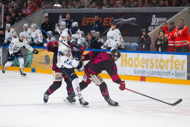 DEL2 Matchday 9 ice hockey game between EV Landshut and the Ravensburg Towerstars on October 16, 2026, at the VR Bank Landshut Arena in Landshut, Germany. EV Landshut and Ravensburg Towerstars players in action during the DEL2 Matchday 9 ice hockey game between EV Landshut and Ravensburg Towerstars on October 16, 2026, at the VR Bank Landshut Arena in Landshut, Germany Copyright: xBEAUTIFULxSPORTS Bosnjakovicx