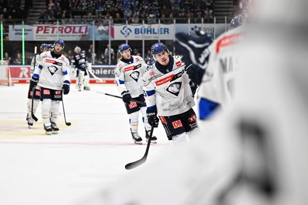 Celebration for Alex Breton ERC Ingolstadt 75 Schwenninger Wild Wings vs. ERC Ingolstadt, DEL, Regular Season, Matchday 8, 2026–2027 Season, October 16, 2026: Schwenninger Wild Wings vs. ERC Ingolstadt, DEL, Regular Season, Matchday 8, 2026–2027 Season, October 16, 2026, Schwenningen Copyright: xEibner-Pressefoto SvenxLaeglerx EP_SVL