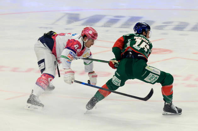 October 23, 2026, DEU, GER, Ice Hockey, Matchday 11, 2026–27 Season, Berlin, Eisbären Berlin vs. Augsburger Panther Brandon Davidson Eisbären Berlin 44, CAMERON WRIGHT Augsburger Panther 16 nordphoto GmbH Engler Berlin Uber Arena Berlin Germany Copyright: xNordphotox xEnglerx