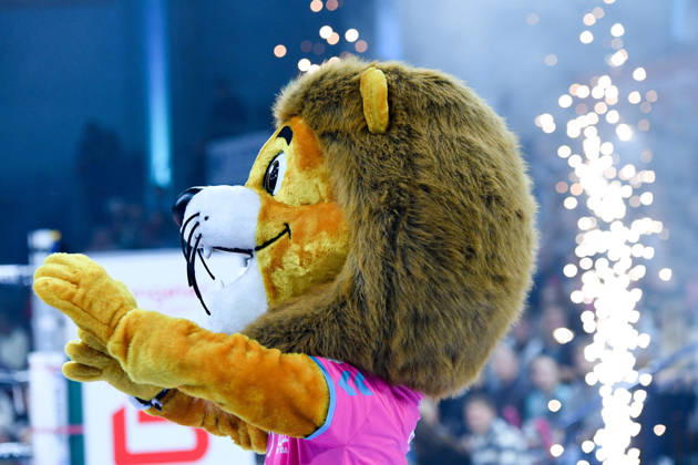 Wolly, the Powervolleys Düren Mascot, Mascot, Good-Luck Charm, October 24, 2026, Düren, Germany, Volleyball, Men s Bundesliga 1, Regular Season, SWD Powervolleys Düren vs. WWK Volleys Munich xmhx