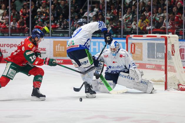 One-on-one, action, featuring Cameron Wright 16 of the Augsburger Panther, Adrian Klein 17, Straubing Tigers, Jakub Skarek 31, Straubing Tigers, Augsburg Panthers vs. Straubing Tigers, Matchday 12, Ice Hockey, Penny DEL, October 25, 2026, Augsburg, Bavaria, Germany Copyright: xkolbert-press DunjaxDietrichx