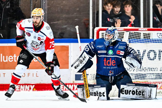 Samuel Dove McFall s Nuremberg Ice Tigers, 75; Hendrik Hane s Iserlohn Roosters, 32; GER; Iserlohn Roosters vs. Nuremberg Ice Tigers; Ice Hockey; Penny DEL; Matchday 12; 2026–2027 Season; October 25, 2026, GER, Iserlohn Roosters vs. Nuremberg Ice Tigers, Ice Hockey, Penny DEL, Matchday 12, 2026–2027 Season, October 25, 2026, Iserlohn Copyright: xJonasxBrockmann Eibner-Pressefotox EP_JBN