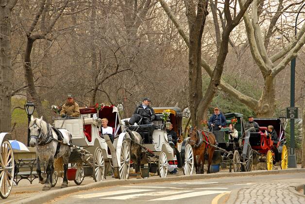 Kutschen im Central Park, USA, New York City Carriages at Central Park, USA, New York City BLWS239819