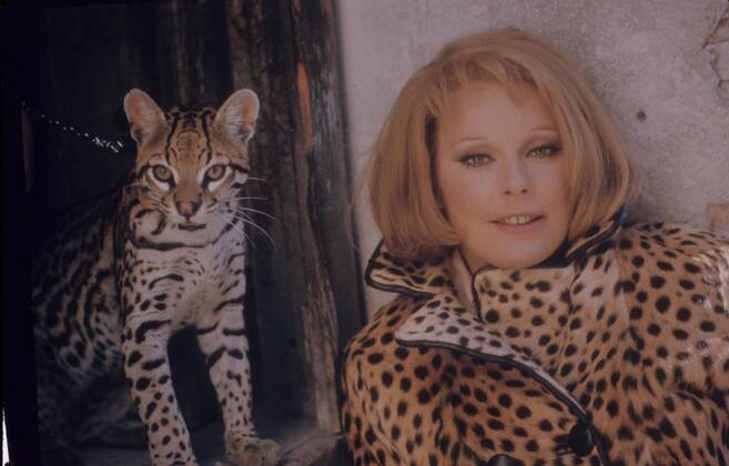 ELKE SOMMER. - ZUMAg49 !AUFNAHMEDATUM GESCHÄTZT!