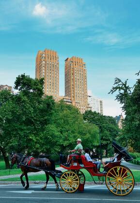 Central Park Spring and horse carriage in midtown Manhattan New York City  202820579259711499