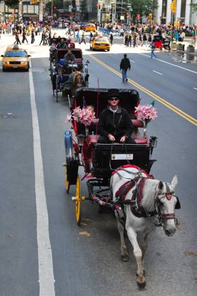 Central Park - New York NY - OCT 11:Horse carriage outside Central Park on October 11 2009 in Manhattan New York. Central Park is one of the world s largest urban public parks. New York New York United State of America EDITORIAL USE ONLY Copyright: xx RafaelxBen-Ari ChameleonsxEyex cewitness089034
