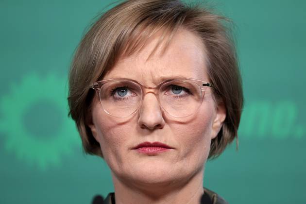 Franziska Brandner, co-chair of Buendnis 90 Die Gruenen, press conference after the committee meetings and the Gelbhaar case, DEU, Berlin, 20 01 2025