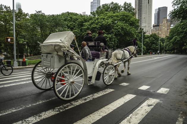 Central Park Pferdekutsche. Drehort: New York, Manhattan Central Park horse-drawn carriage. Shooting Location: New York, Manhattan Copyright: imageBROKER MakotoxHonda ibxiqx13317334.jpg