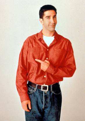 Friends - filmstill DAVID SCHWIMMER in Friends - Year 2 Filmstill - For Editorial Use Only CAP AWFF Supplied by - United States EDITORIAL USE ONLY Copyright: x AnitaxWebber CapitalxPicturesx
