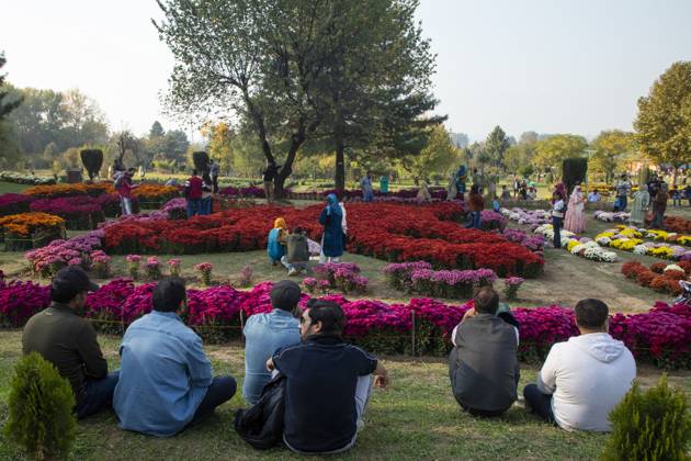 October 28, 2025, Srinagar, Jammu And Kashmir, India: People rest inside the newly opened Chrysanthemum Garden in Srinagar. Surrounded by a vibrant display of hundreds of blooming varieties, the garden has begun captivating visitors and nature lovers amid the autumn season. The government-backed initiative aims to boost tourism in the Himalayan region, badly hit after the deadly Pahalgam attack that killed 26 Indian Hindu tourists. The colorful garden adds fresh charm to the city™s scenic landscape and underscores efforts to promote eco-tourism in Jammu and Kashmir. Srinagar India - ZUMAs197 20251028_aaa_s197_005 Copyright: xFaisalxBashirx