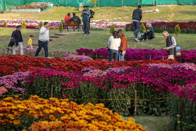 October 28, 2025, Srinagar, Jammu And Kashmir, India: People stroll through the newly opened Chrysanthemum Garden at the Botanical Garden in Srinagar. Surrounded by a vibrant display of hundreds of blooming varieties, the garden has begun captivating visitors and nature lovers amid the autumn season. The government-backed initiative aims to boost tourism in the Himalayan region, badly hit after the deadly Pahalgam attack that killed 26 Indian Hindu tourists. The colorful garden adds fresh charm to the city™s scenic landscape and underscores efforts to promote eco-tourism in Jammu and Kashmir. Srinagar India - ZUMAs197 20251028_aaa_s197_008 Copyright: xFaisalxBashirx