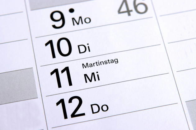 on 11 November is Martin s Day 1033004729