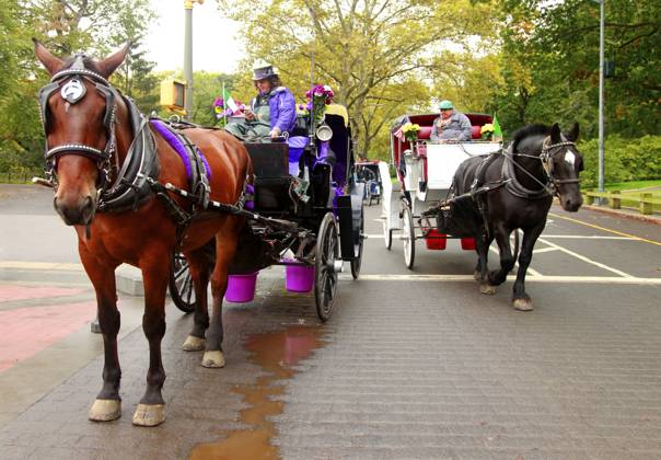 New York, NY, USA 9. Oktober 2012: Kutsche mit Pferden im Central Park New York, NY, USA - October 9, 2012: Coach with horses in the central park Copyright: imageBROKER MorozovaxTatiana ibliqx16060366.jpg