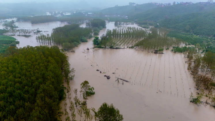Heavy rain causes flooding in Turkiye s Sakarya SAKARYA, TURKIYE - MAY 4: An aerial view of flooded agricultural land and residential areas after the Melen River overflowed due to heavy rainfall in Sakarya, Turkiye, on May 4, 2026. Basements of some homes and nearby fields were inundated, while standing water also accumulated in school and mosque courtyards. Davut Genc Anadolu Sakarya Turkey. Editorial use only. Please get in touch for any other usage. Copyright: x2026xAnadoluxDavutxGencx