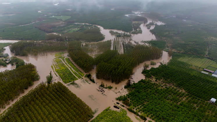 Heavy rain causes flooding in Turkiye s Sakarya SAKARYA, TURKIYE - MAY 4: An aerial view of flooded agricultural land and residential areas after the Melen River overflowed due to heavy rainfall in Sakarya, Turkiye, on May 4, 2026. Basements of some homes and nearby fields were inundated, while standing water also accumulated in school and mosque courtyards. Davut Genc Anadolu Sakarya Turkey. Editorial use only. Please get in touch for any other usage. Copyright: x2026xAnadoluxDavutxGencx