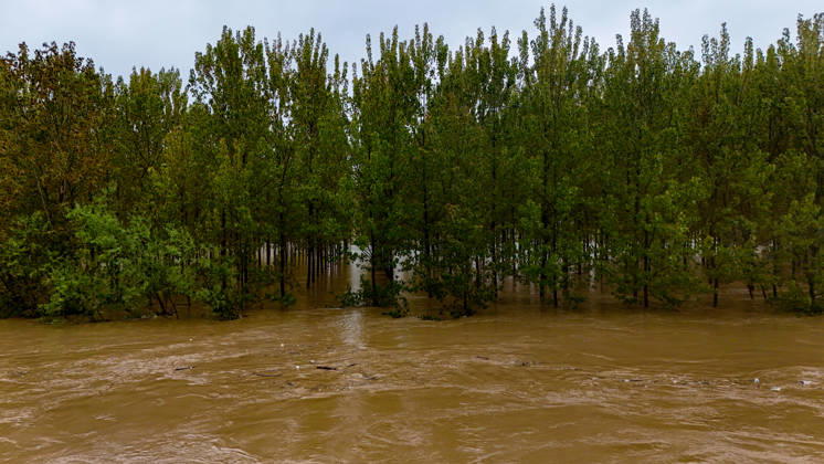 Heavy rain causes flooding in Turkiye s Sakarya SAKARYA, TURKIYE - MAY 4: An aerial view of flooded agricultural land and residential areas after the Melen River overflowed due to heavy rainfall in Sakarya, Turkiye, on May 4, 2026. Basements of some homes and nearby fields were inundated, while standing water also accumulated in school and mosque courtyards. Davut Genc Anadolu Sakarya Turkey. Editorial use only. Please get in touch for any other usage. Copyright: x2026xAnadoluxDavutxGencx