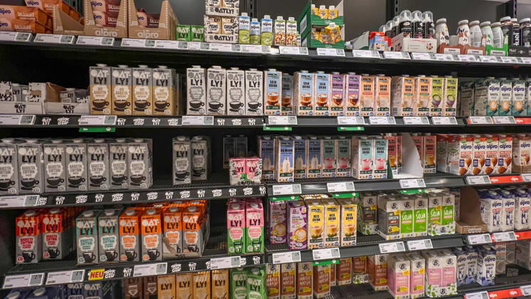 Braunschweig, Lower Saxony, Germany, Europe: A store shelf featuring plant-based milk alternatives and barista beverages in a German supermarket. Oat, soy, almond, rice, and coconut drinks from various brands are neatly arranged on refrigerated and non-refrigerated shelves with price tags; symbolic image representing vegan diets, plant Copyright: xAymanxAlahmedx