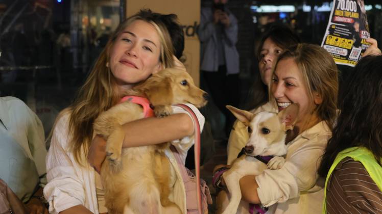 October 4, 2026, Izmir, ToÂ¼rkiye: IZMIR, TURKEY Ã¢â‚¬ OCTOBER 4, 2026: Animal rights activists staged a protest in Izmir on World Animal Protection Day, opposing the decision to round up and euthanize stray animals. Members of the Izmir Right to Life Advocates gathered in front of Alsancak Train Station in the Konak district and protested against the Law Amending the Animal Protection Act, which was passed by the Grand National Assembly of Turkey on July 30, 2024, published in the Official Gazette on August 2, 2024, and entered into force. Activists marched from Alsancak Station along Cyprus Martyrs Street before gathering in front of the ToÂ¼rkan Saylan Cultural Center. Chanting slogans including Ã¢â‚¬oeNo to your laws, let the anima - ZUMAq101 20261004_zna_q101_111 Copyright: xTurgayxKilicx
