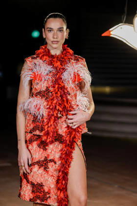 Dua Lipa at the photocall for the Chanel Spring Summer 2027 Women’s Ready-to-Wear Collection during Paris Fashion Week (PFW) at the Grand Palais in Paris, France, on October 5, 2026. Olivier Borde, Bestimage. Photocall at the Chanel Women’s Ready-to-Wear Spring Summer 2027 show as part of Paris Fashion Week on October 5, 2026, in Paris, France. Paris, France Copyright: xOLIVIERxBORDEx xBESTIMAGExOLIVIERxBORDEx xBESTIMAGEx
