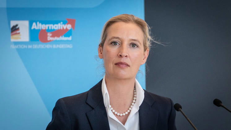 Alice Weidel, AfD Party and Parliamentary Group Chair Press statement by the two party chairs and parliamentary group chairs of the AfD before the start of the parliamentary group meeting in the German Bundestag, Berlin, Berlin, Germany, Bundestag
