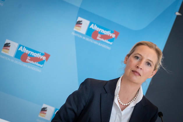 Alice Weidel, AfD Party and Parliamentary Group Chair Press statement by the two party chairs and parliamentary group chairs of the AfD before the start of the parliamentary group meeting in the German Bundestag, Berlin, Berlin, Germany, Bundestag
