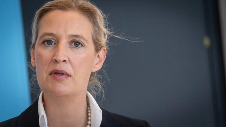 Alice Weidel, AfD Party and Parliamentary Group Chair Press statement by the two party chairs and parliamentary group chairs of the AfD before the start of the parliamentary group meeting in the German Bundestag, Berlin, Berlin, Germany, Bundestag