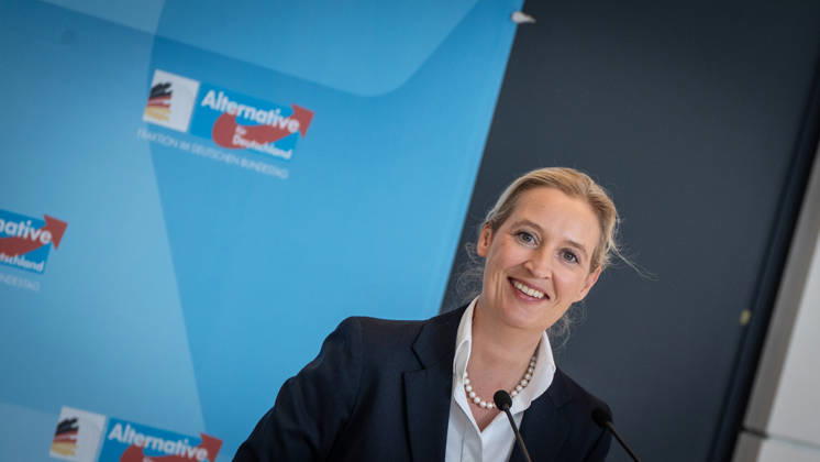 Alice Weidel, AfD Party and Parliamentary Group Chair Press statement by the two party chairs and parliamentary group chairs of the AfD before the start of the parliamentary group meeting in the German Bundestag, Berlin, Berlin, Germany, Bundestag