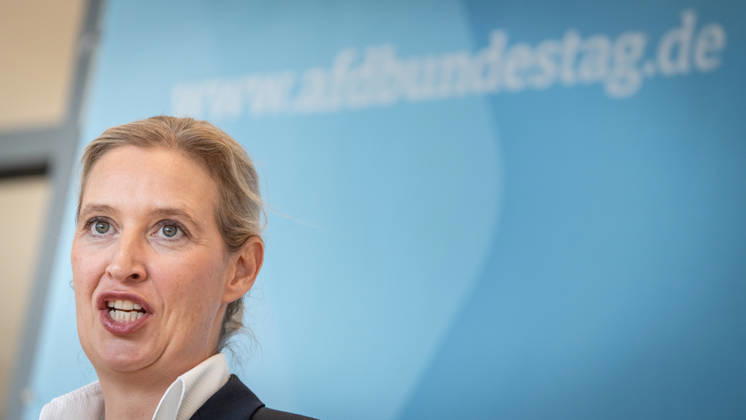 Alice Weidel, AfD Party and Parliamentary Group Chair Press statement by the two party chairs and parliamentary group chairs of the AfD before the start of the parliamentary group meeting in the German Bundestag, Berlin, Berlin, Germany, Bundestag