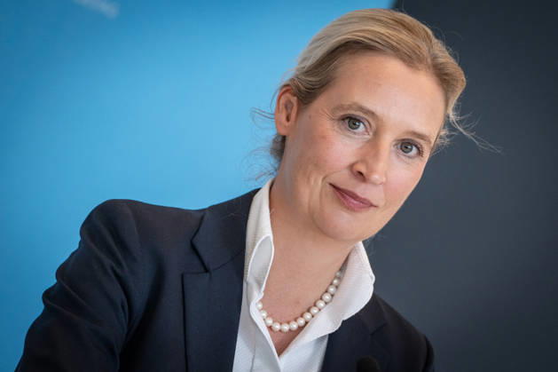 Alice Weidel, AfD Party and Parliamentary Group Chair Press statement by the two party chairs and parliamentary group chairs of the AfD before the start of the parliamentary group meeting in the German Bundestag, Berlin, Berlin, Germany, Bundestag