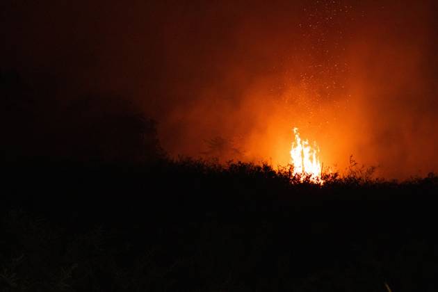 Land Fire Burns in Jambi, Indonesia JAMBI, INDONESIA, OCTOBER 6, 2026: Firefighters battle a land fire burning through trees and vegetation in the Penyengat Rendah area of Jambi City, as local residents observe the blaze. Forest and land fires across parts of Jambi and Sumatra continue to affect air quality and raise environmental concerns during the dry season. Jambi Indonesia Copyright: x xPrabanndaruxWahyuajix xJNAxPressx