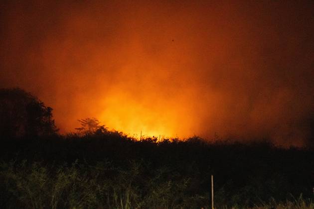 Land Fire Burns in Jambi, Indonesia JAMBI, INDONESIA, OCTOBER 6, 2026: Firefighters battle a land fire burning through trees and vegetation in the Penyengat Rendah area of Jambi City, as local residents observe the blaze. Forest and land fires across parts of Jambi and Sumatra continue to affect air quality and raise environmental concerns during the dry season. Jambi Indonesia Copyright: x xPrabanndaruxWahyuajix xJNAxPressx