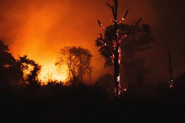 October 6, 2026, Jambi, Indonesia: JAMBI, INDONESIA, OCTOBER 6, 2026: Firefighters battle a land fire burning through trees and vegetation in the Penyengat Rendah area of Jambi City, as local residents observe the blaze. Forest and land fires across parts of Jambi and Sumatra continue to affect air quality and raise environmental concerns during the dry season. Jambi Indonesia - ZUMAq101 20261006_zna_q101_119 Copyright: xPrabanndaruxWahyuajix