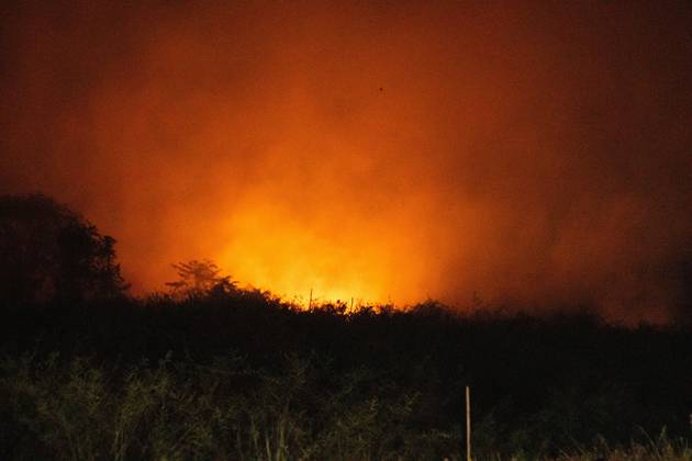 October 6, 2026, Jambi, Indonesia: JAMBI, INDONESIA, OCTOBER 6, 2026: Firefighters battle a land fire burning through trees and vegetation in the Penyengat Rendah area of Jambi City, as local residents observe the blaze. Forest and land fires across parts of Jambi and Sumatra continue to affect air quality and raise environmental concerns during the dry season. Jambi Indonesia - ZUMAq101 20261006_zna_q101_118 Copyright: xPrabanndaruxWahyuajix