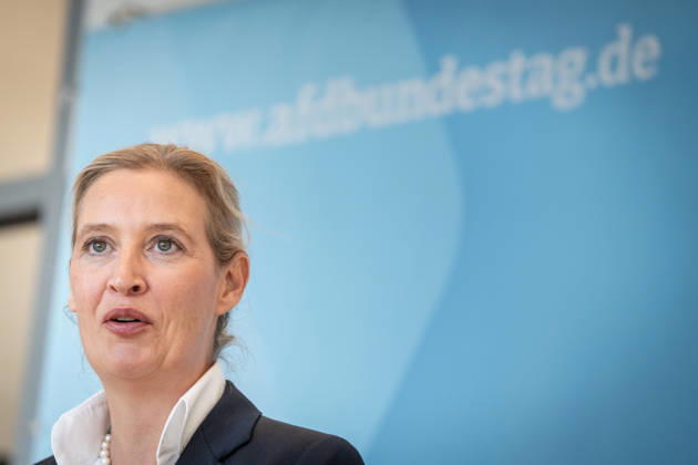 Alice Weidel, AfD Party and Parliamentary Group Chair Press statement by the two party chairs and parliamentary group chairs of the AfD before the start of the parliamentary group meeting in the German Bundestag, Berlin, Berlin, Germany, Bundestag