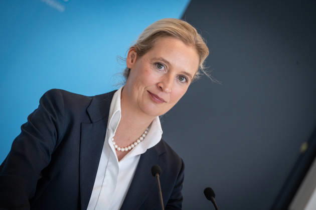 Alice Weidel, AfD Party and Parliamentary Group Chair Press statement by the two party chairs and parliamentary group chairs of the AfD before the start of the parliamentary group meeting in the German Bundestag, Berlin, Berlin, Germany, Bundestag